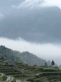 雲和梯田 —— 日出雲海 九曲雲環