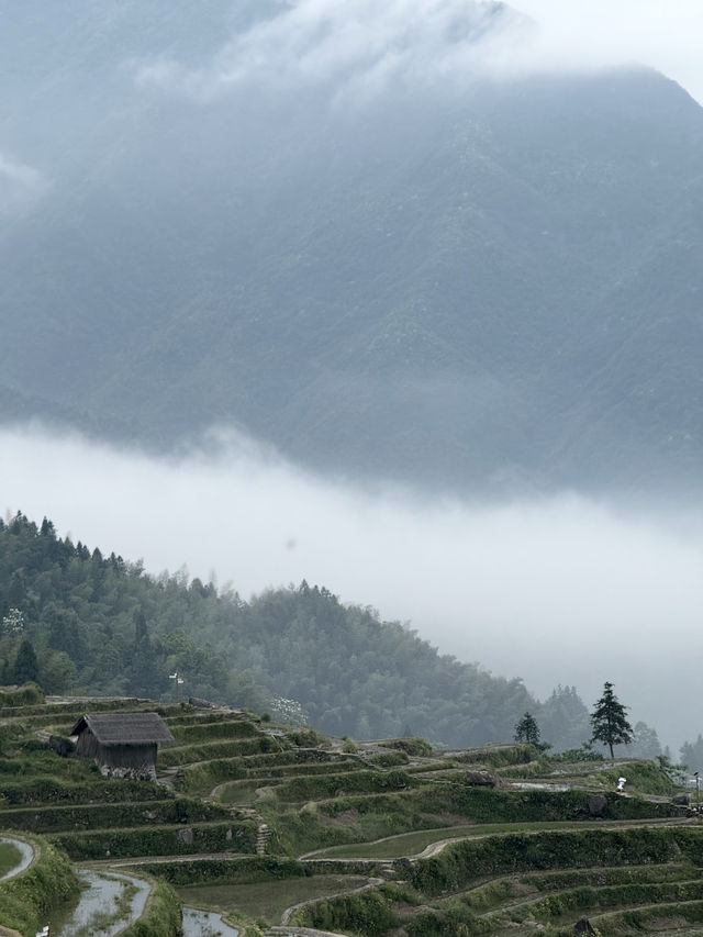 雲和梯田 —— 日出雲海 九曲雲環