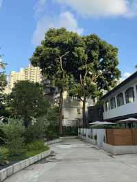 珠海旅樹山居｜鬧市中的「原木系綠洲」🌳停車自由+秘境泳池太香了！
