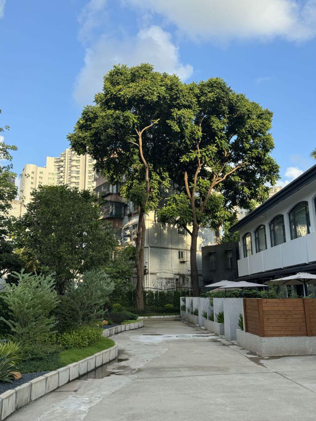 珠海旅樹山居｜鬧市中的「原木系綠洲」🌳停車自由+秘境泳池太香了！