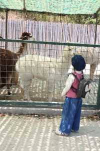 懶人式湊仔好去處——紫清湖旅遊區