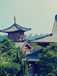 深圳大華興寺｜禪意之旅，心靈淨土