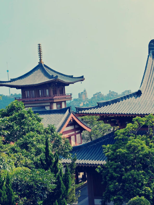 深圳大華興寺｜禪意之旅，心靈淨土