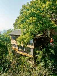 🌸 SPRING SECRET: Chongqing’s "90% DOWNHILL" Flower Path (Zero Sweat Guaranteed!)