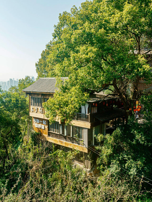 🌸 SPRING SECRET: Chongqing’s "90% DOWNHILL" Flower Path (Zero Sweat Guaranteed!)