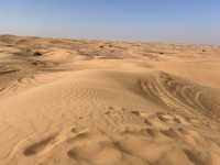 Dune 3 🫢🏄 surf the desert 🐪 