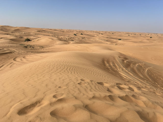 Dune 3 🫢🏄 surf the desert 🐪 