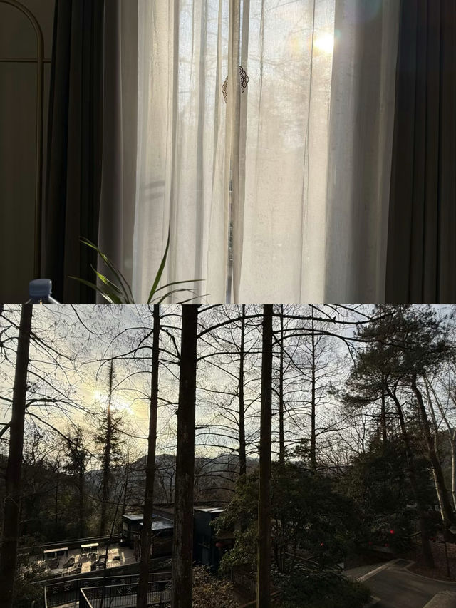 金華雙龍|穿越百年的民國風隱世之旅
