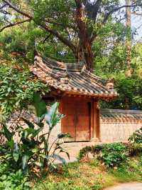 廣州越秀公園暴走實錄！逛到腿軟！