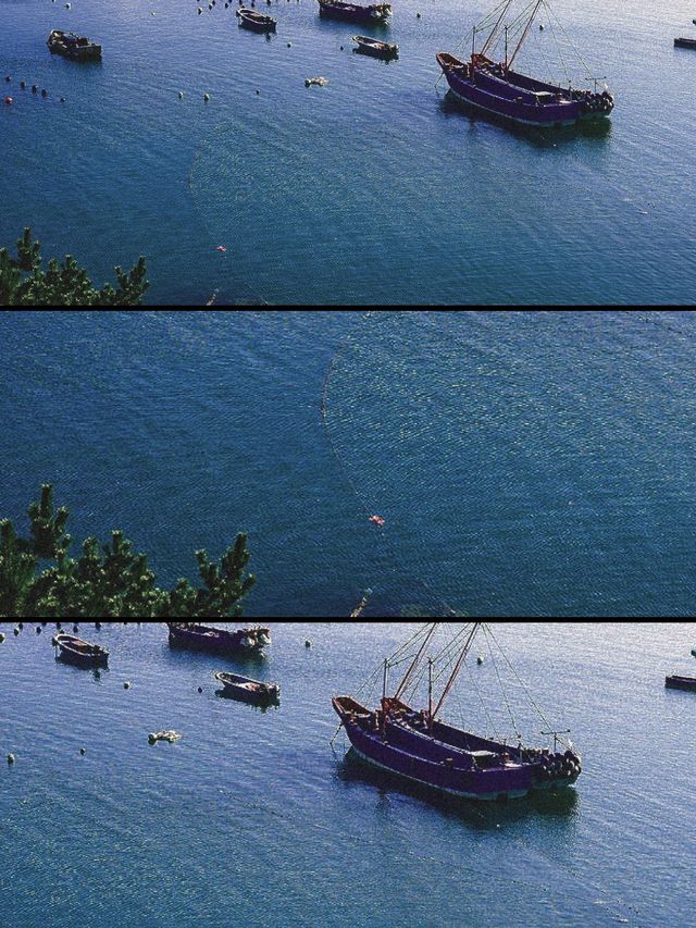 嵊泗列島藍眼淚，6月正係邂逅螢光海嘅絕佳時機