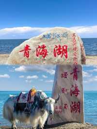 《炸裂！青海簡直係人間仙境嘅天花板，錯過喊一年！》