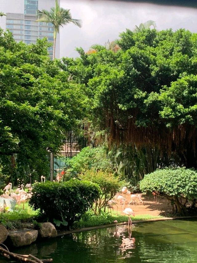從澳門出發前往香港中港城這個隱藏版打卡點