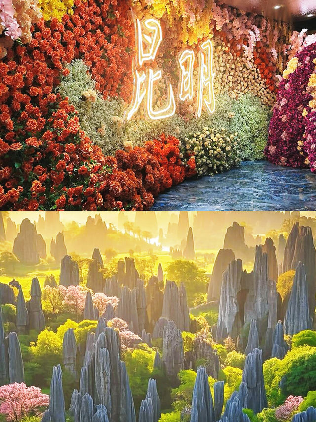 暖陽花香四季春，滇池石林民族情，昆明等你！