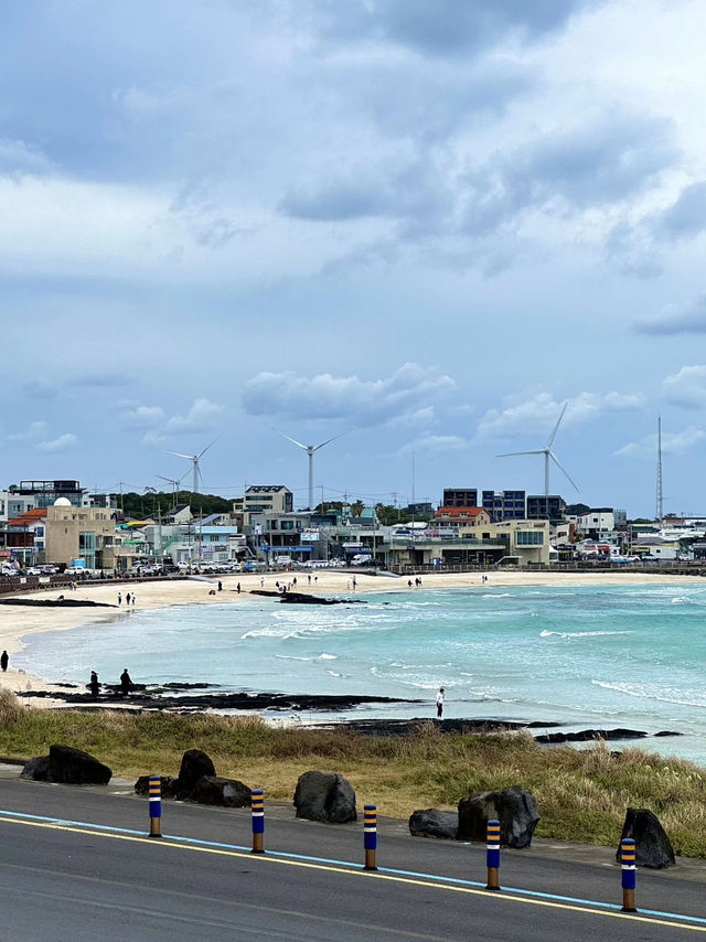 🍊 Jeju Escape: Volcanic Vibes & Citrus Dreams!