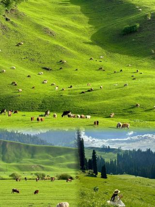 I captured the live moments of my life in Xinjiang!