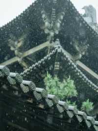 可惜你不來江南，不知道江南煙雨有多浪漫