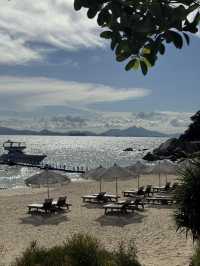 放棄咗蘇梅島，嚟到深圳苫也柚柑灣