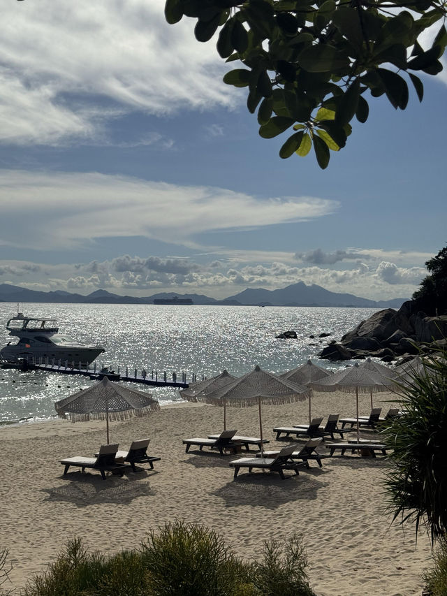 放棄咗蘇梅島，嚟到深圳苫也柚柑灣