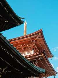 東京の隠れ名所：池上本門寺で歴史と桜を満喫】**  