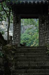 最美嘅風景，係自然