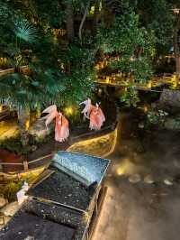 南昌旅遊！直接嚟食呢間園林餐廳！氛圍感一流！