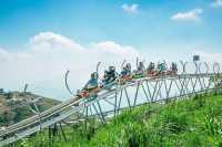 21℃邂逅浪漫與自然的奇幻之旅，百里荒景區旅遊保姆級攻略：   百里荒景區，位於湖北宜昌夷陵區、遠安