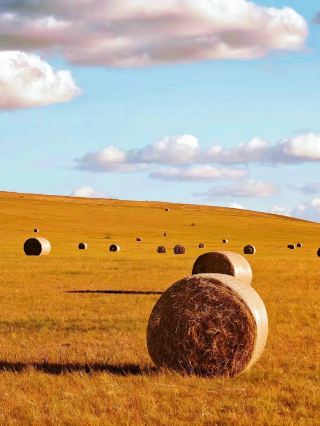How to enjoy autumn in Ulan Butong