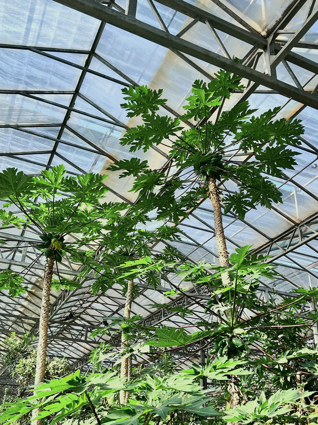 ✅ Global innovations – See how China leads in smart agriculture!