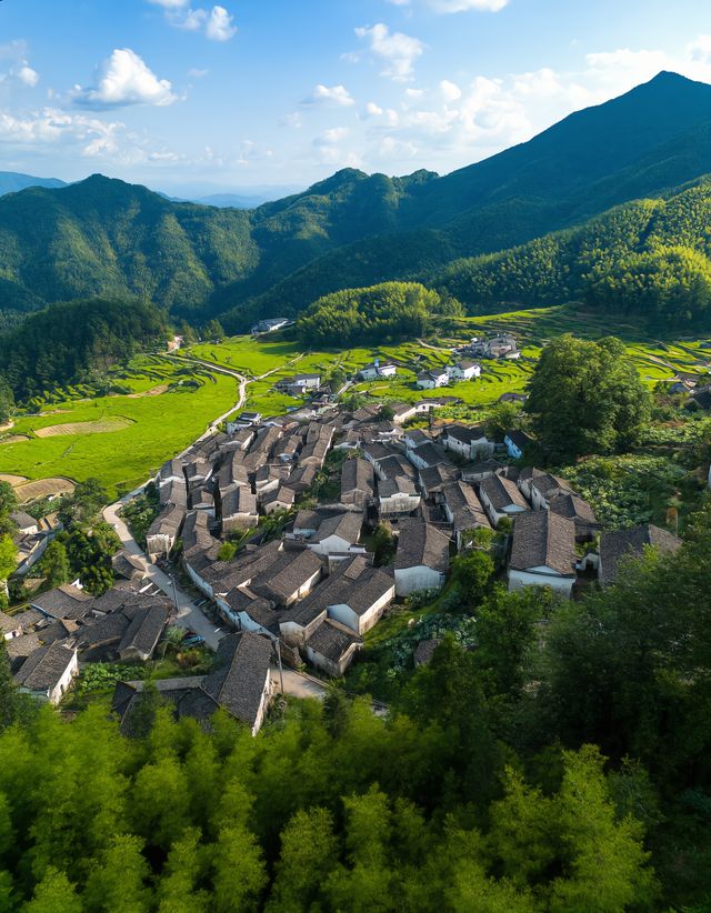 松陽楊家堂｜0蚊影金色布達拉宮