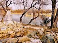 Winter's Echo: A Haunting Journey Through Beijing's Old Summer Palace