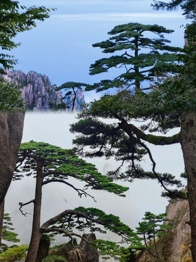【黃山頂級風景區，但係唔會再嚟！附避坑指南】