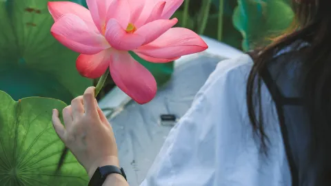 Tuyến du thuyền Thành Đô 1 giờ để thưởng ngoạn hoa sen! Bản đồ ao sen ngàn mẫu — traveler post in Toại Ninh