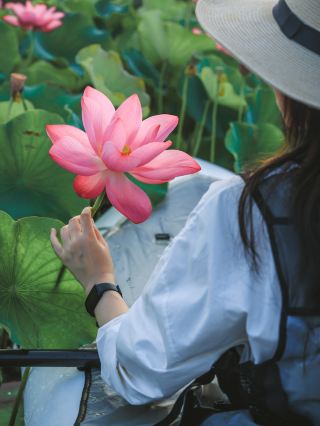 Chengdu's 1-Hour Lotus Boat Adventure! Thousand-Acre Lotus Pond Navigation Map