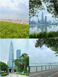 深圳受罪已回,真不建議8月份來了