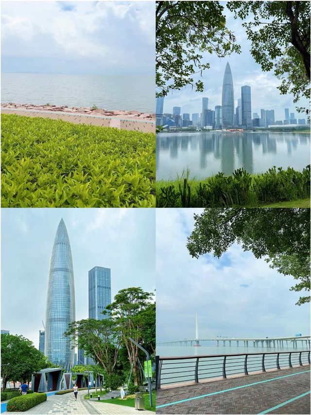 深圳受罪已回,真不建議8月份來了 深圳受罪已回,真不建議8月份來了