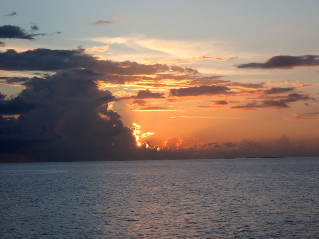 Returning to Paradise: A Love Letter to the Island