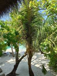A Relaxing Getaway at Adaaran Rannalhi