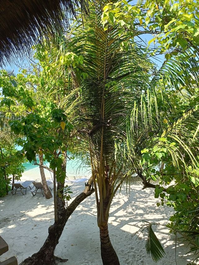A Relaxing Getaway at Adaaran Rannalhi