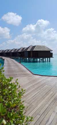 Paradise on Earth: Sun, Sea, and Luxury