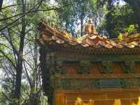 古雞鳴寺 - 江蘇省南京市玄武區雞鳴寺路1號，營業時間：7:00-17:30 夫子廟 - 江蘇省南京