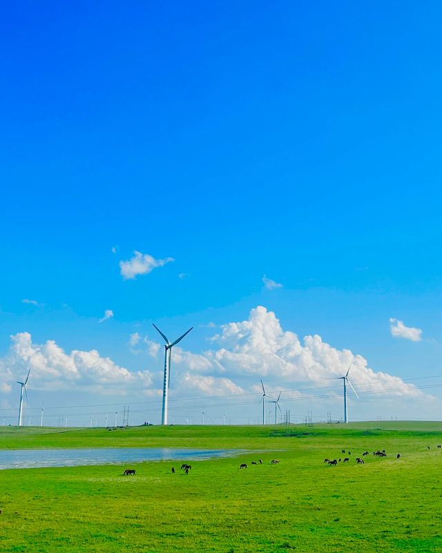 雲端草原全攻略