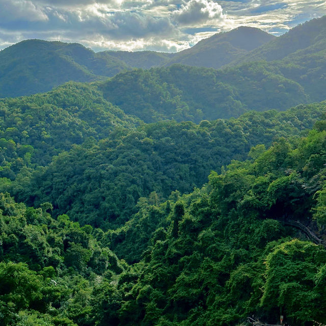 廈門徒步路線推薦，週末進天竺山吸氧