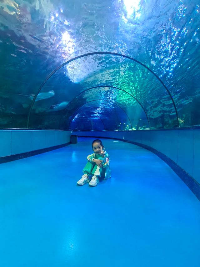 歐樂堡海洋極地世界，親子遊必打卡極地世界