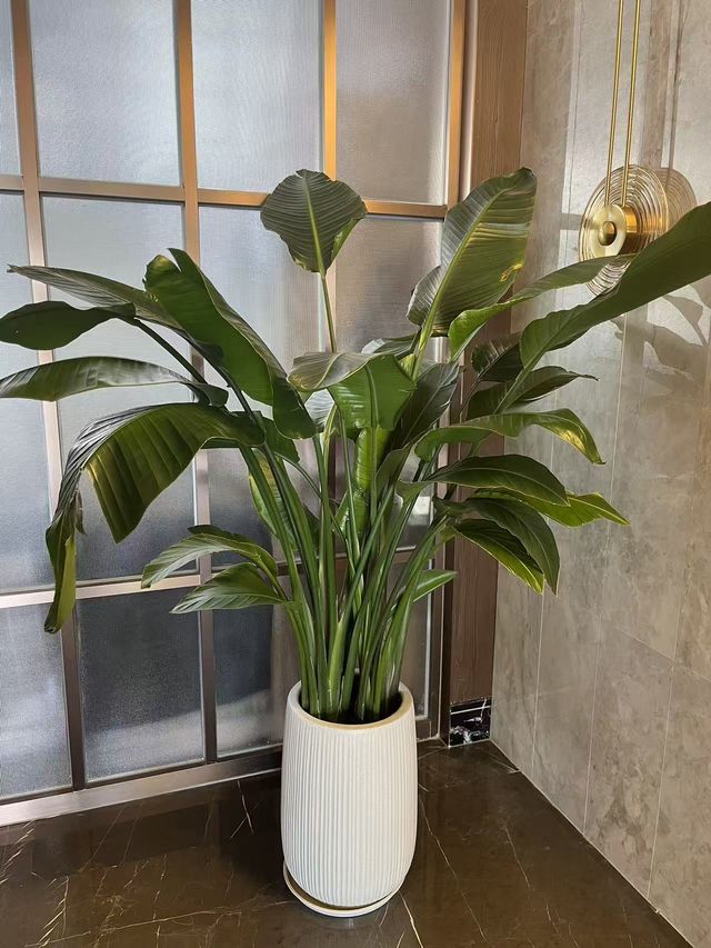 襄陽｜彩色秋天習家池