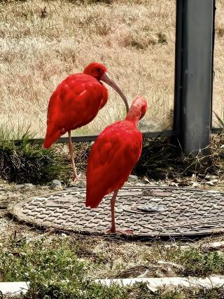 Evergreen Huayang: A Paradise in the Depths of Qinling Mountains