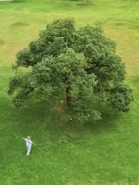 浦口再一次震撼到我，南京有自己的童話世界