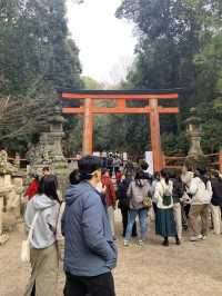 奈良宇治古都慢活之旅🌸  
