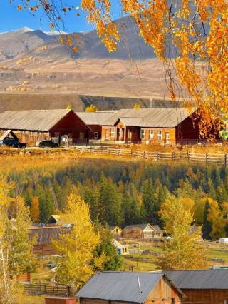 Brewing milk tea by the Emerald Lake and stumbling upon a fairytale autumn
