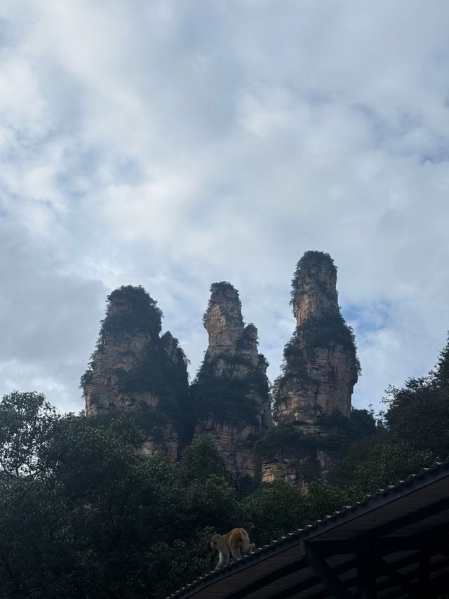 別再去天門山了，除非你看這篇！