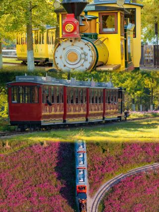 Official Changxing Ginkgo Guide! From the Glass Skywalk to Kongwangjiao Temple, please keep this best route. 